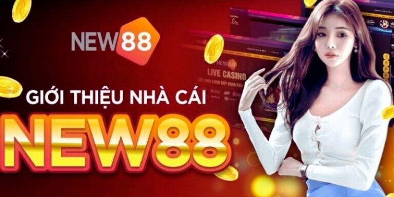 Giới thiệu cơ bản để nắm bắt được NEW88 là trang web gì